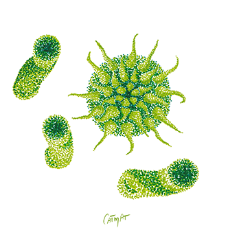 Virus au microscope Pointillisme feutres de couleurs CatMat 2023